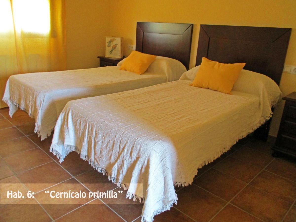 Casa Rural El Nidal Casas de Don Pedro Εξωτερικό φωτογραφία